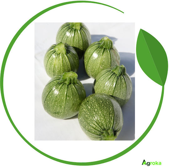 Syngenta Seeds Pumpkinς Zucchini Brice 1000pcs