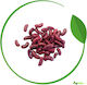 Geniki Fytotechniki Athinon Seeds Bean 1kg