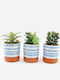 Atmosphera Planter Ceramic Multicolour