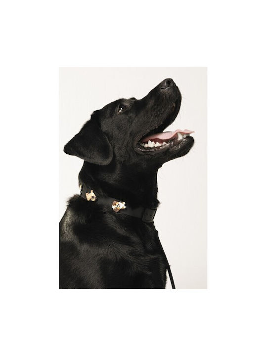 Unicord Wasserfest Crocs Charm Hundehalsband Schwarz 44cm-50cm Groß
