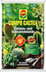 Pflanzliche Böden Cactea 5Es CO032