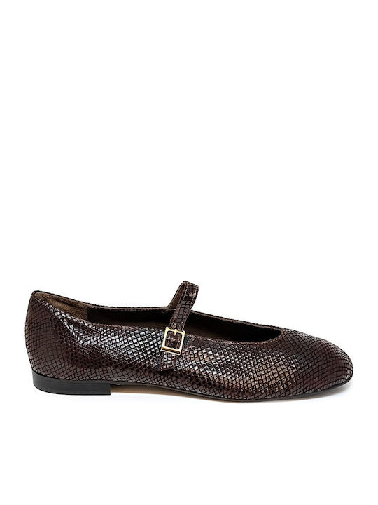Lederne Damen Ballerinas in Braun Farbe