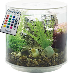 Oase Biorb Tube 15 Mcr Led Nano-Aquarium Set 15 Liter Oase Biorb Tube 15 Mcr Led Nano-Aquarium Set 15 Liter