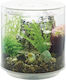 Oase Biorb Tube 15 Led Nano-aquarium Set Fish Aquarium Capacity 15lt with Lighting and 32.8x31x31cm White