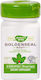Goldenseal Dietary Supplement 570mg Nature's Way Secom 30 Capsules