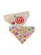 Glee Dog Bandana