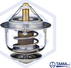 52mm Doppelter Toyota Hilux Hiace Diesel L 2l Wv52ta82 Tama
