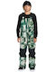 Volcom Barkley I1252600-GRN Pantaloni de schi și snowboard pentru copii Ski & Snowboard Verde