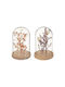 Glass Bell with Dried Flowers 17cm