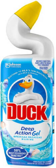 Duck Υγρό Καθαριστικό Τουαλέτας 750ml – Παπί – Κατά Αλάτων & Μικροβίων – Καμπύλο Ρύγχος 73808 750 Ml