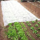Film Capac Antigel 3.2x10m Alb
