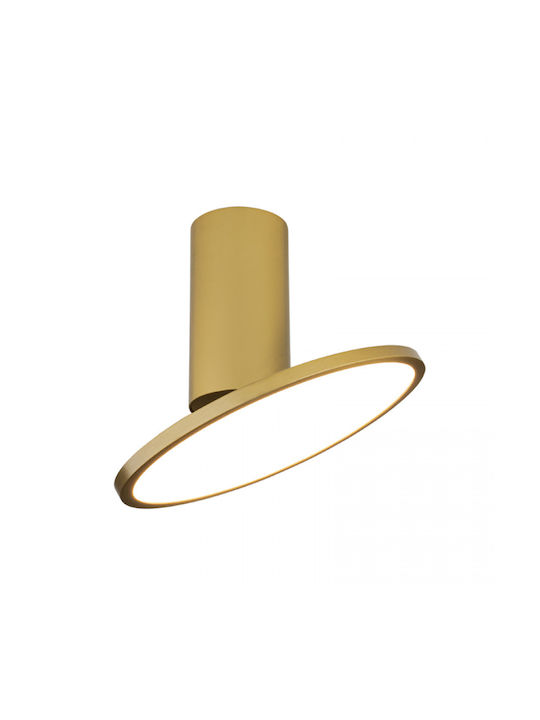 Zambelis Lights LED Warm White Spot in Gold Color