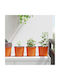 vidaXL Ceramic Flower Pot Orange 15x15x12.5cm