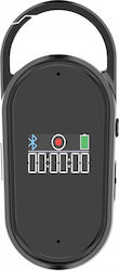 Surveillance Bug Capacity 8GB