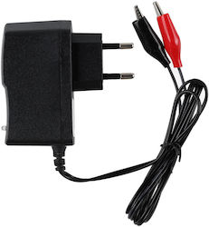 12v Battery Charger