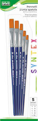 Set 5 Pensule Sintetice Cu Vârf Plat Blister