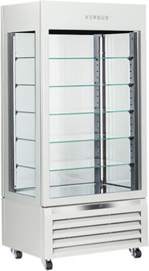 Cool Head Freezing Showcase 90x65x190cm