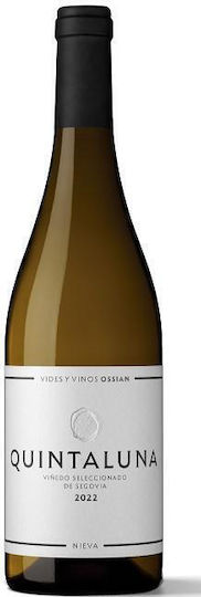 Вино Wine Quintaluna 2022 Verdejo Бял Сух Шампоан 750мл