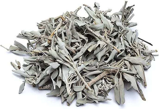 Purification White Sage Smudge Leaves White Sage Leaves 30g