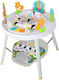 Lazaridis Activity Table