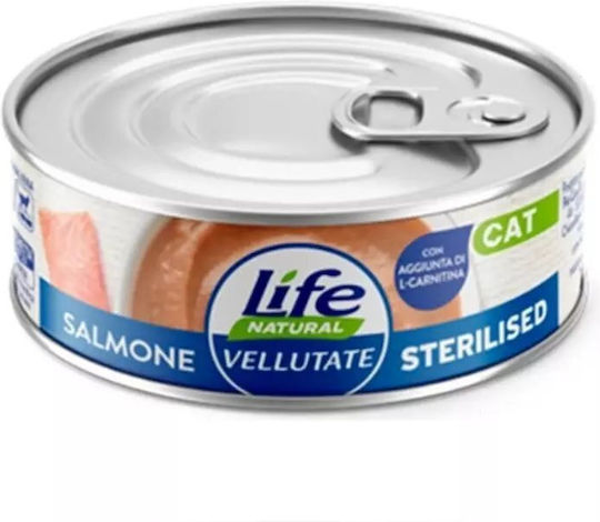 Wet Food for Cats with Salmon 70gr