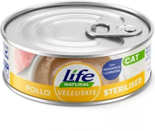 Wet Food for Cats with Chicken 70gr