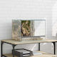 Vidaxl Reptile Amphibian Habitats White 40 x 30 x 30 cm Glass