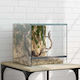 Vidaxl Reptile Amphibian Habitats White 30 x 30 x 30 cm Glass