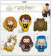 Harry Potter Pix Ballpoint cu cerneală Multicolor