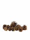 Christmas Decorative Pine 8cm x 10pcs
