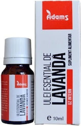 Adams Αιθέριο Έλαιο Λεβάντα 10ml Adams Αιθέριο Έλαιο Λεβάντα 10ml