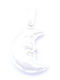 PS Silver Charm Moon in Silver