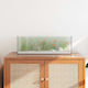 vidaXL Fisch-Aquarium mit 60x20x20cm Weiß