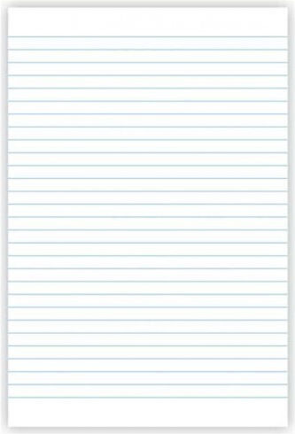 Typotrust Carnet A4 Cu dungi
