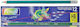 Justnote Pencil Set with Eraser Green