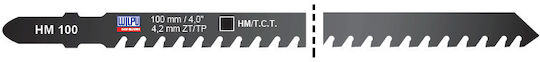 Hm 100 Hm Острие Вертикална Пила T-Опашка Мултиматериал Размер 100 X 7.8 X 1.9 Mm