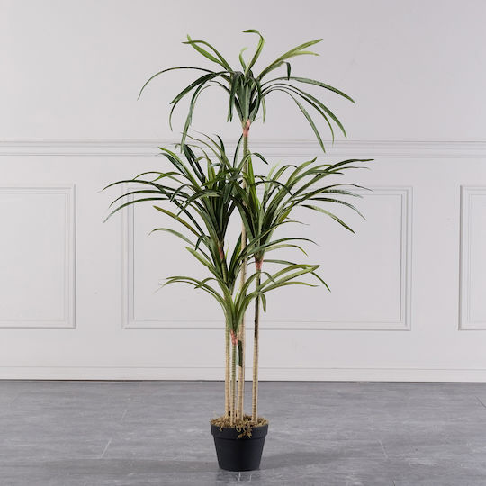Supergreens Изкуствено Дърво Dracaena Anita Зелено 150 См 6-0829