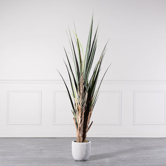 Supergreens Artificial Agatha Tree Green 180 Cm 6-0825