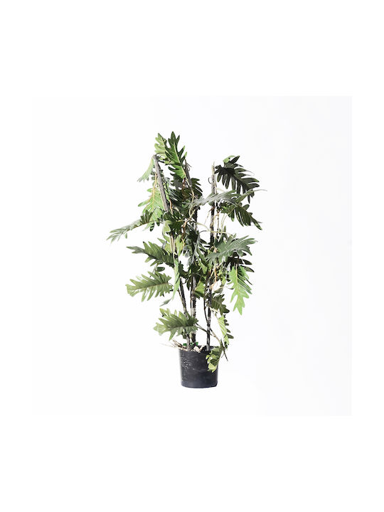 Supergreens Artificial Philodendron Xanadu Green 75 Cm 7-1615