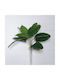 Supergreens Musa Artificială Încastrată Verde 65 Cm 7-2014