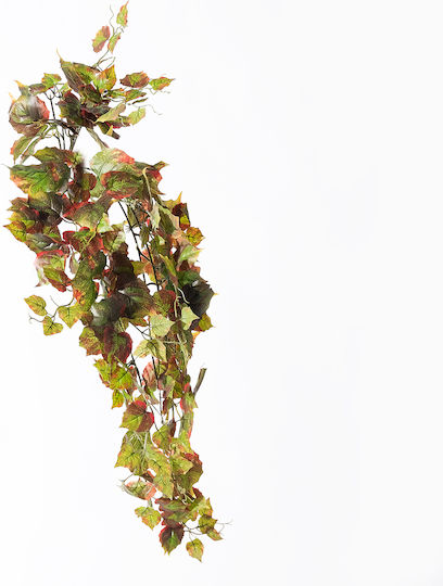 Supergreens Dekorative Künstliche Hängende Ficus Afzelii Dual Tone Grüner 90 cm 7-1574