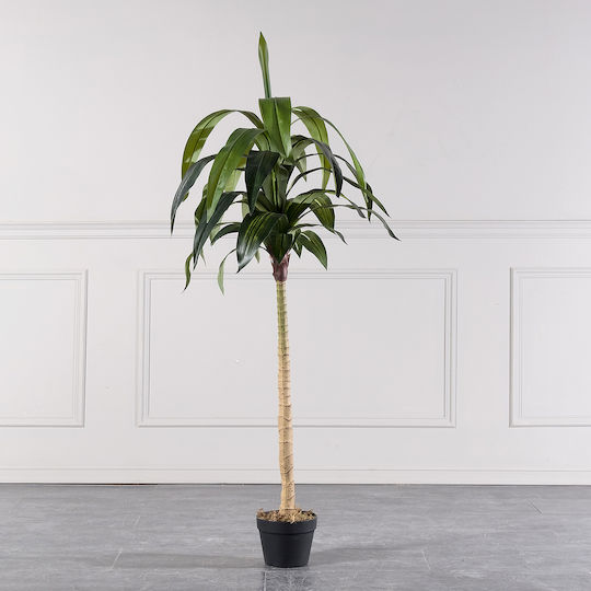 Supergreens Copac Artificial Dracaena Verde 170 Cm 6-0317