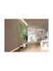 Palma Viajero 281751 Artificial Plant H240 – Τεχνητό Φυτό Ύψους 240 Cm