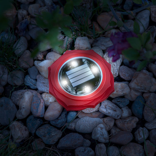 Lampă Solară LED Roșu-Alb Rece 11.5 X 2.3 Cm
