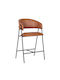 Alfred Καρέκλες Τραπεζαρίας Μεταλλικές Camel 2τμχ 58x53x66εκ.