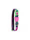 Zee Dog Ошийник За Кучета Reebok Aerobic 23-33см X 1см Xs