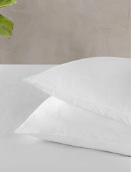 Blanc de Blanc Set of 6 Hotel Pillowcases 72x51cm Blanc de Blanc Set of 6 Hotel Pillowcases 72x51cm