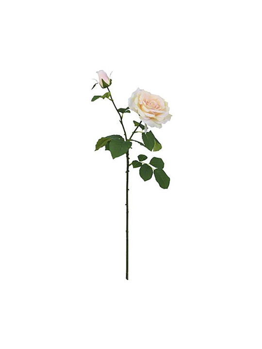 Τριαντάφυλλο Κρεμ 67cm 6τμχ Iliadis