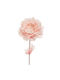 Pink Peony 63cm 4 Pieces Iliadis