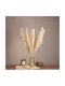 Αποξηραμένο Φυτό Pampas grass Μπεζ/Εκρού 80cm 10τμχ GloboStar